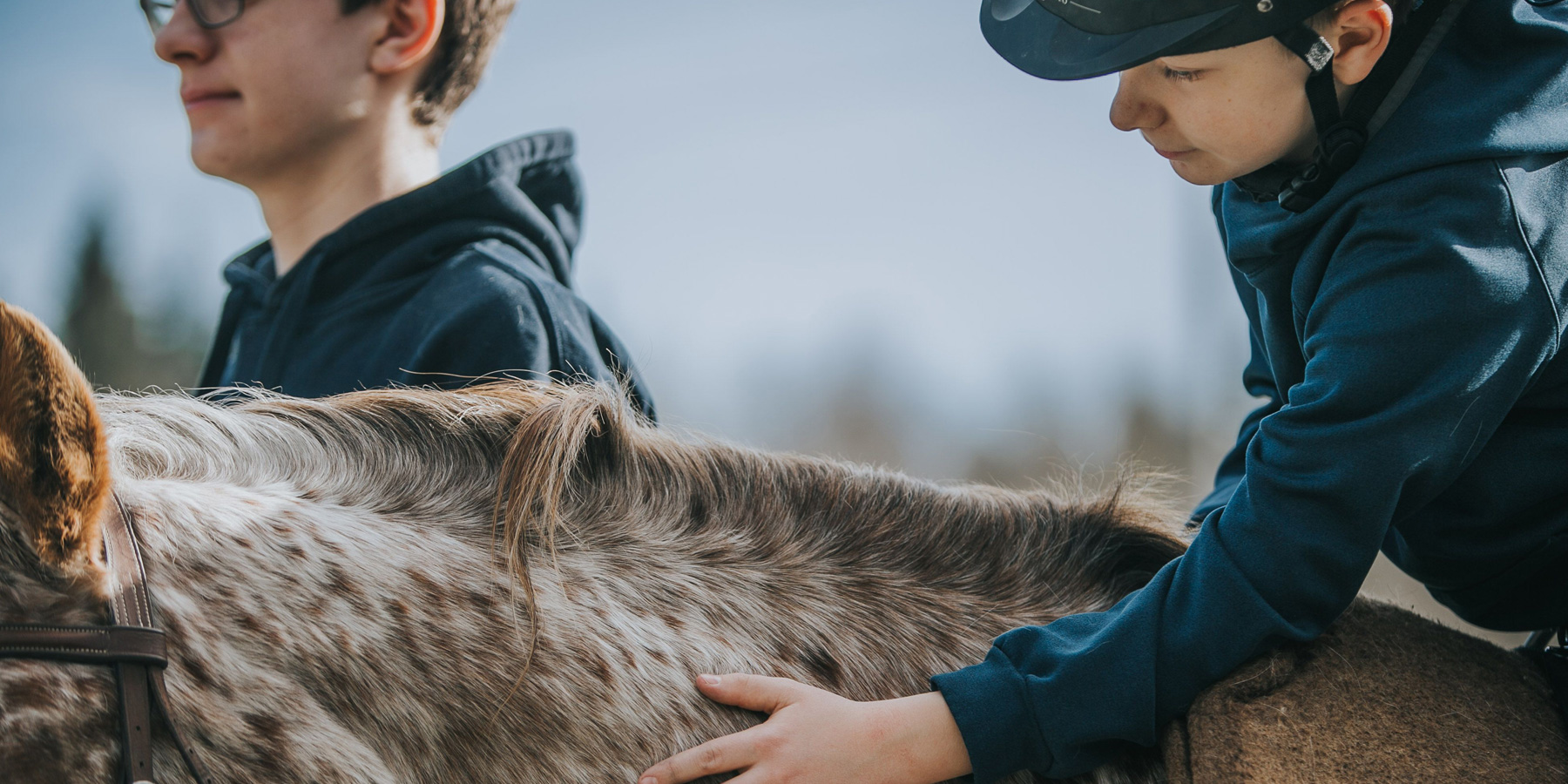 Pferdegestützte Therapie
